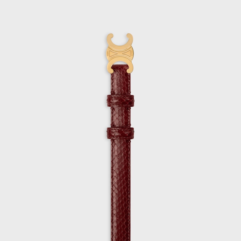 kleiner 18-mm-triomphe-gürtel in python
