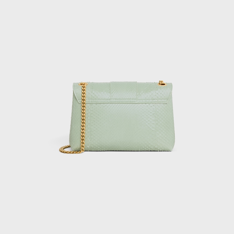 mittelgroße celine victoire tasche in python