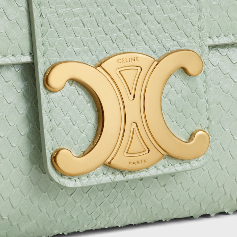 mittelgroße celine victoire tasche in python